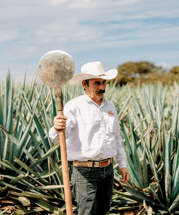 SIERRA, 100% ORIGINAL MEXICAN TEQUILA