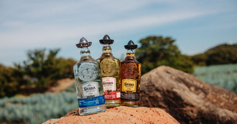 100% Agave Tequila  Unleash Your Creativity with Sierra's Bold Flavours!